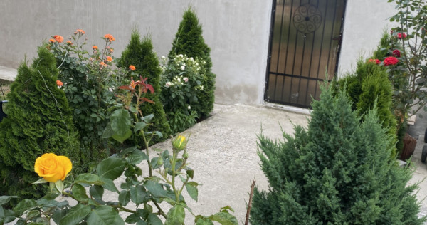 Proprietar casă &icirc;n Jilava aproape de București