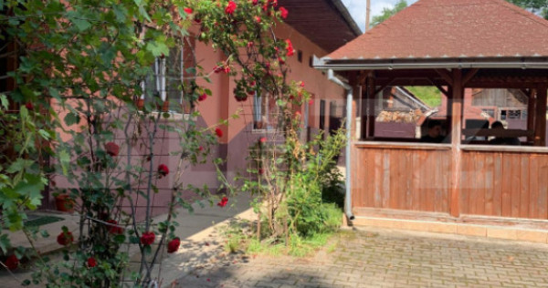 Pensiune + casă pe 5.500 mp, la poalele Munților Făgăra?