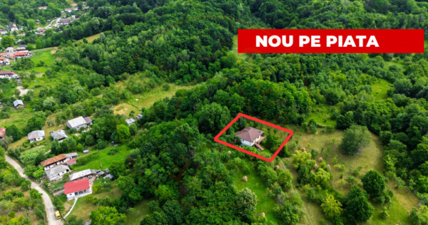 Proprietate de poveste &icirc;n Corbi, Argeș - Doua case si 630