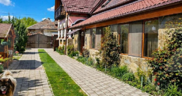 Conac modern cu saună, ciubăr și seră, 1.500 mp grădin?