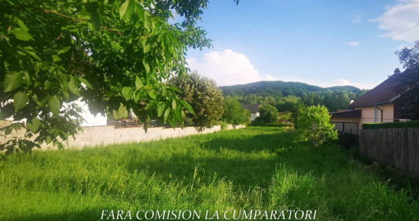 VLADESTI - TEREN 1019 MP, DESCHIDERE LA DN