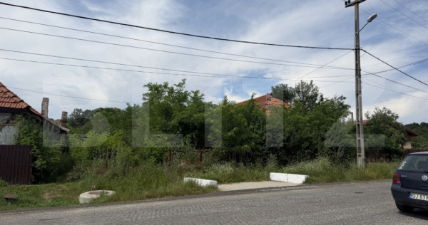 Teren 5000 mp , zona Dragoieni