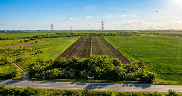 Oportunitate Investiție //Teren (Glina - DC3) &ndash; Platform?