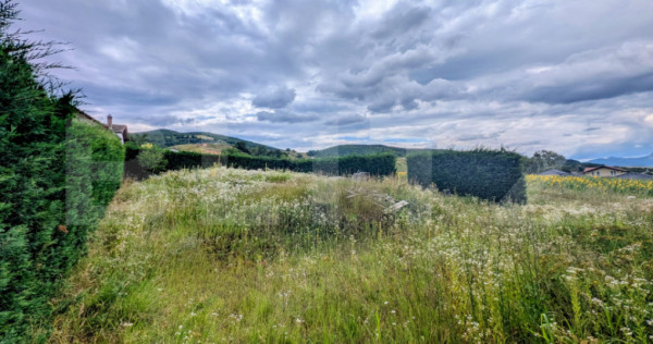 Teren intravilan, 478 mp, zona Micesti - partea cu padurea