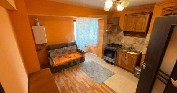 Apartament modern 2 camere Calea Severinului