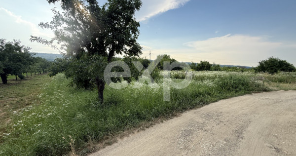 Teren de v&acirc;nzare &icirc;n Topoloveni | Zonă liniștită, aproap