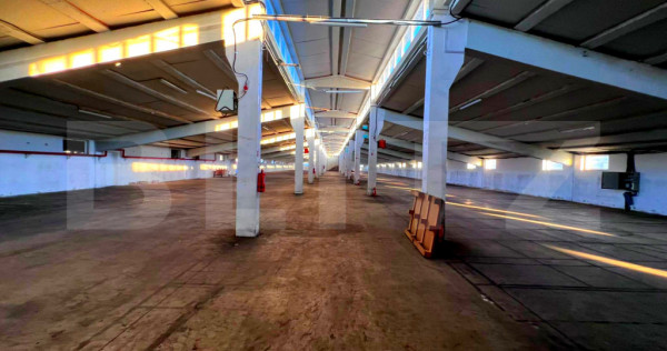 Proprietate industrială, hale 4.200 mp, teren 11.000 mp, zo