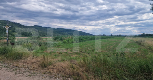 Teren intravilan generos, de 4.300 mp, &icirc;n Com. Iclod
