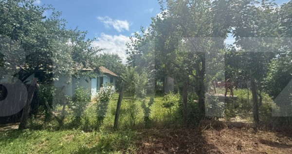 Casă individuală, 55 mp, teren 5000mp, Schit Orășeni, Co