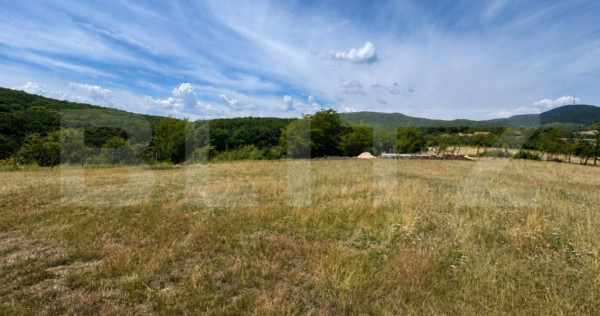 Teren intravilan de v&acirc;nzare &ndash; 480 mp, zona Pădurea Bejan