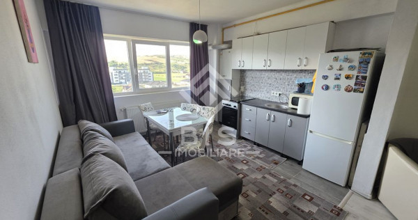 Apartament 2 camere Malinului