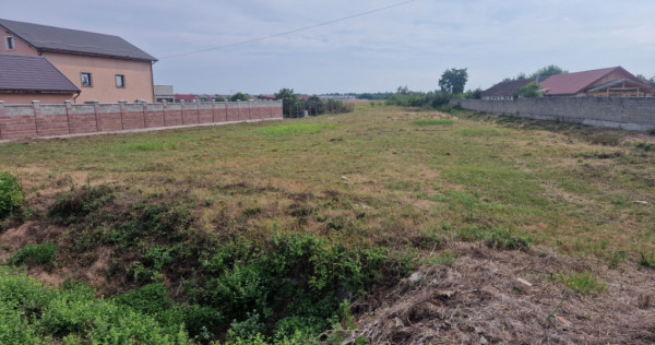 Teren intravilan de 2492 mp de vanzare in Bucovat