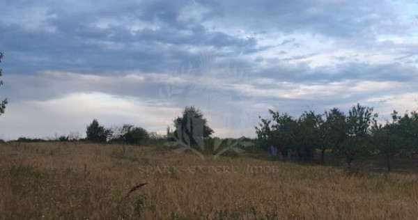 TEREN INTRAVILAN//PAULESTI//2930MP