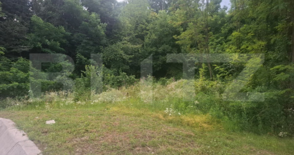 Teren intravilan, 2306 mp, zona Teis