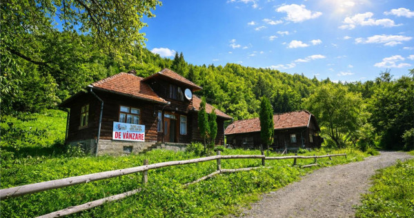 FILM! Proprietate autentica, Bran-Simon, 4.300 mp teren, cas