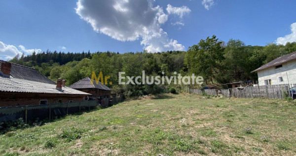 Teren 4000 mp intravilan loc. Aninoasa, jud Arges. Comisi...