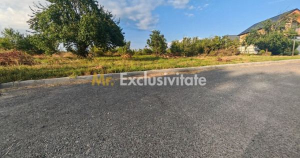 Teren intravilan 1.600 mp Mioveni &ndash; Zona Pruni