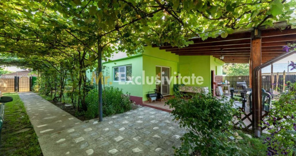 Casa vintage &icirc;n com. Uliesti, jud. D&acirc;mbovița cu livad?...