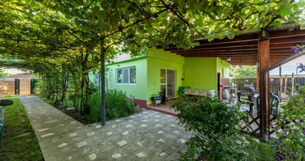 Casa vintage &icirc;n com. Uliesti, jud. D&acirc;mbovița cu livad?...