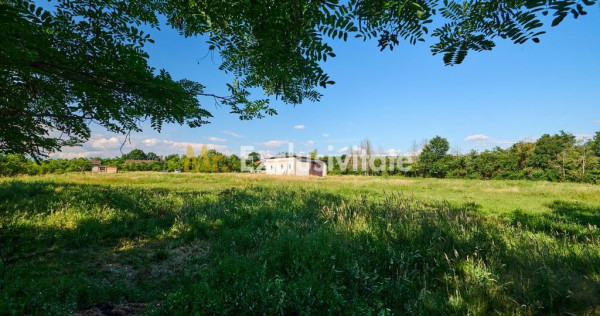 Teren Intravilan 1100 mp + Anexă 120 mp - Budeasa, Calot...