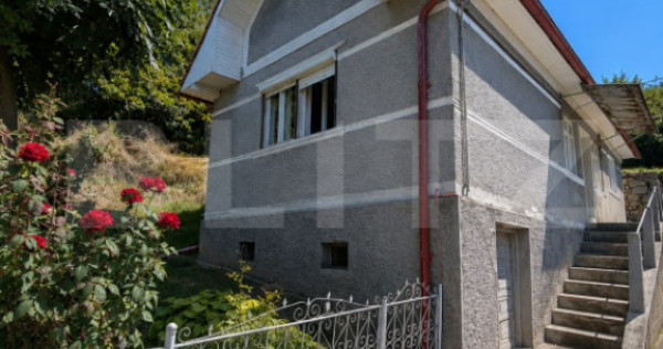 Casă cu Teren Generos 1.341 mp