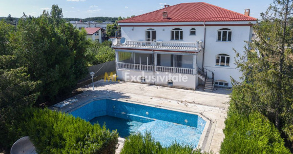 Domeniu privat 5.000 mp, cu reședință de 625 mp și pi...