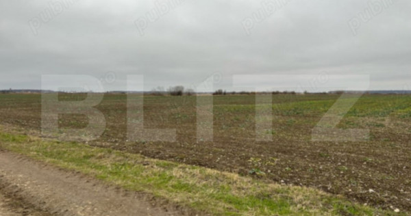 Teren extravilan, 15.500 mp, zona Tărtășești