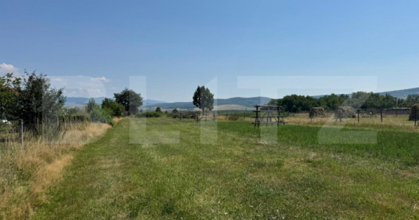 Teren intravilan, 3000 mp, zona Livezile