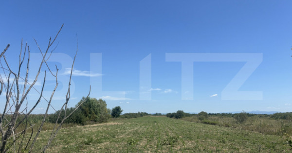 Teren extravilan, 6200 mp, zona Cionchesti