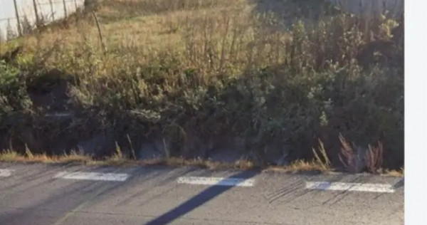 Teren 1.734 MP acces direct DN7, DRĂGANU ARGEȘ