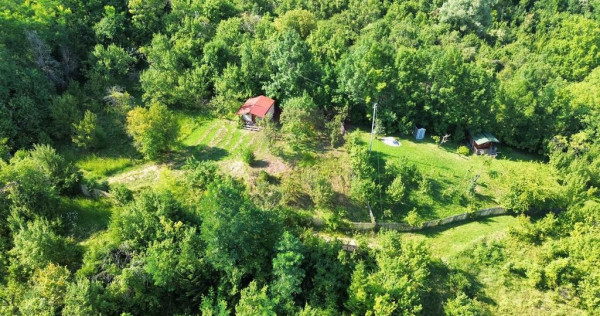 Teren 4.519 mp intravilan de vanzare in Breaza
