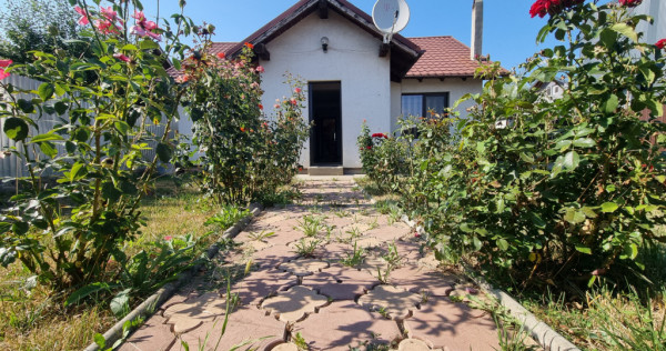 Casa cu trandafiri din Letea Veche, construcție 2013