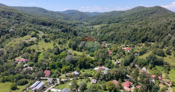 Teren Intravilan 8.277 mp Provița de Jos &ndash; Utilități...
