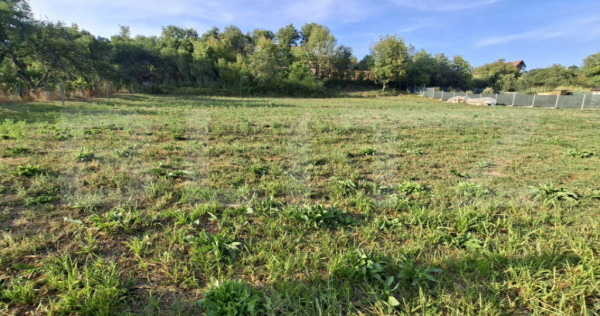 Teren intravilan, 906 mp, front 15 m, zona Poienița