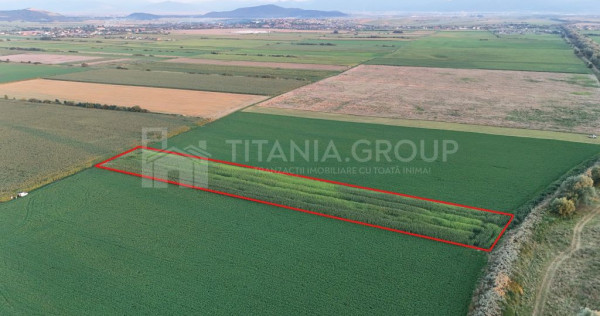 Teren extravilan, 8700 mp, pretabil agricultură sau inve...