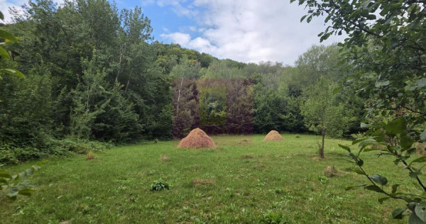Teren de vanzare 15.000 mp in Telega