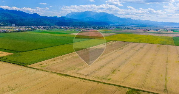 Comision 0% | Teren extravilan agricol 20.000 mp | Cristi...