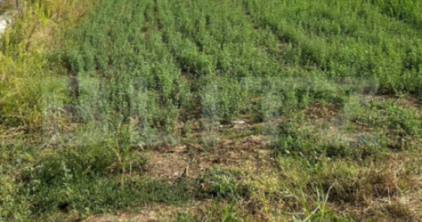 Teren intravilan de vanzare, 1.757 mp, zona Aiud
