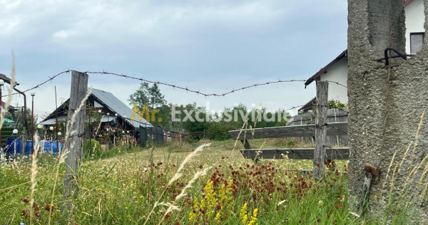 Teren intravilan &icirc;n Băbana 1575 mp intravilan