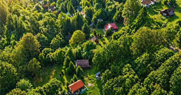 FILM!2.000 mp teren in miracolul naturii autentice casa caba