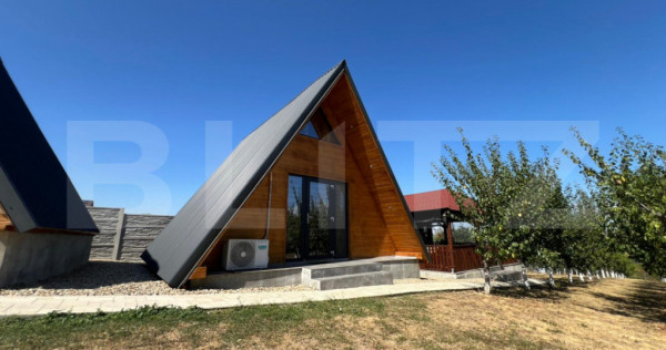 Casa lux cu afacere la cheie casa A-Frame si piscina incalzi