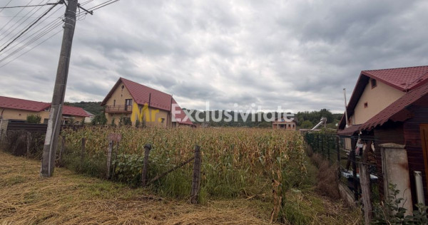 Teren pretabil unei construcții de vis - Băbana - zonă...