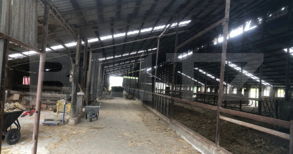 De vanzare/schimb - ferma ,15.000 mp, zona Mărtinești