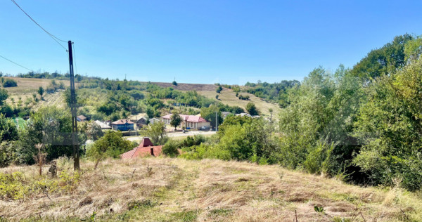 Casa de vacanta, 50 mp, 10.000 mp teren, zona Ungureni