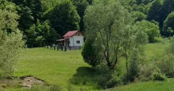 Comision 0% | Teren intravilan Valea Maierusului| PUZ Turistic aprobat