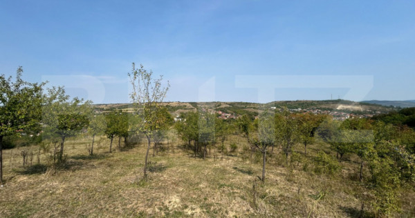 Teren extravilan de vanzare, 5.800 mp, zona Aiud