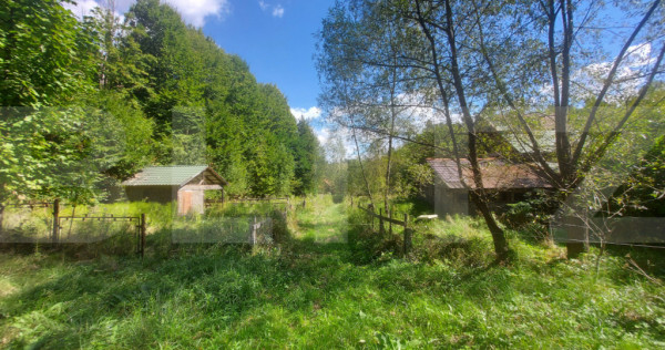 Teren intravilan 1.600 mp + constructie I Natura si liniste