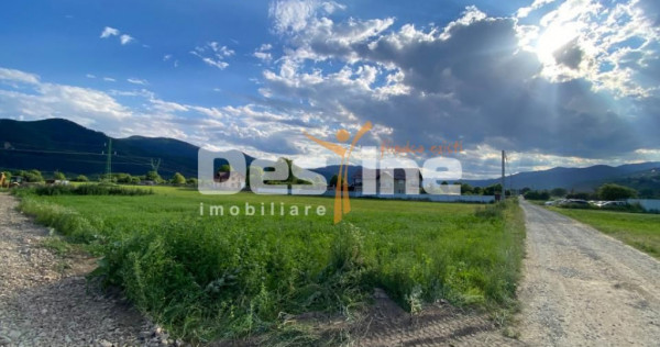 Teren de vanzare Alexandru cel Bun 20.000 Euro 735mp