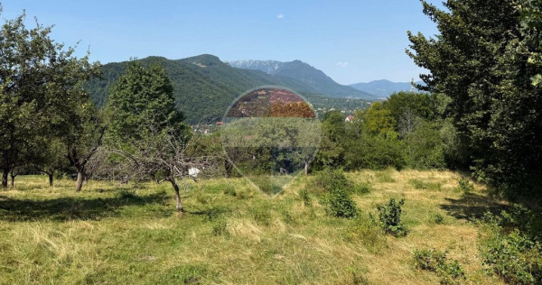 Comision 0% | Teren intravilan 2.700 mp | Sohodol &ndash; Bran | Priveliște