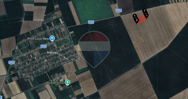 Teren agricol 46.300 mp &icirc;n Curtici | Venit anual din arendă